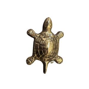 Brass Kacchua 1pc Type 1